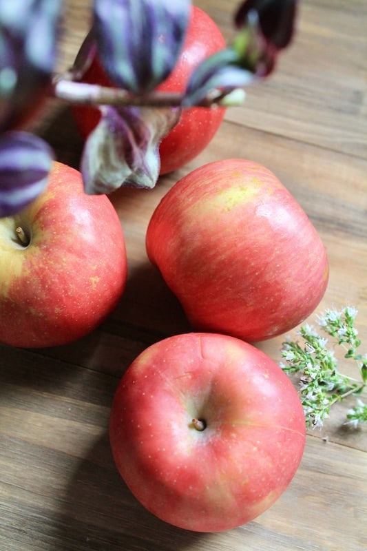fresh apple tart recipe