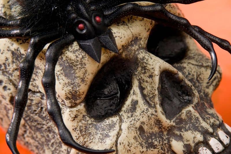 last minute diy halloween decorations