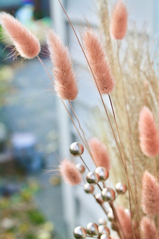 bunny tail grass in pink for a new years eve centerpiece vase