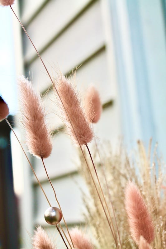 bunny tail grass for a holiday floral centerpiece