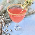 new years eve vodka cocktail with champagne