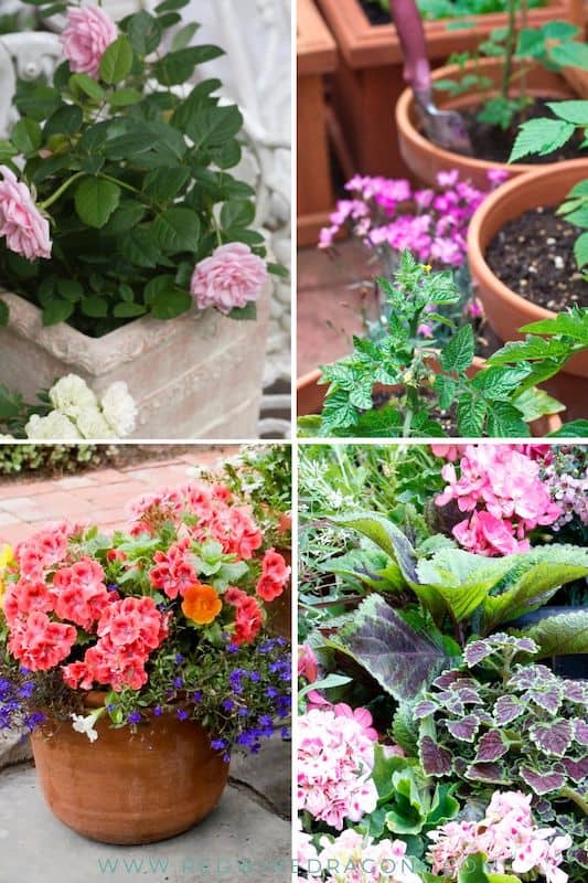 unique garden container ideas for everyone
