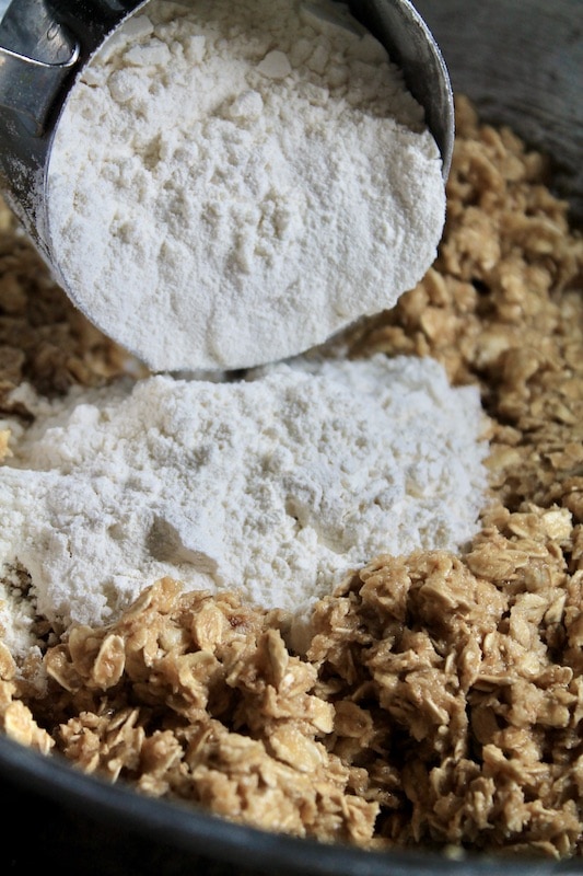 add in dry ingredients and stir together to combine. 