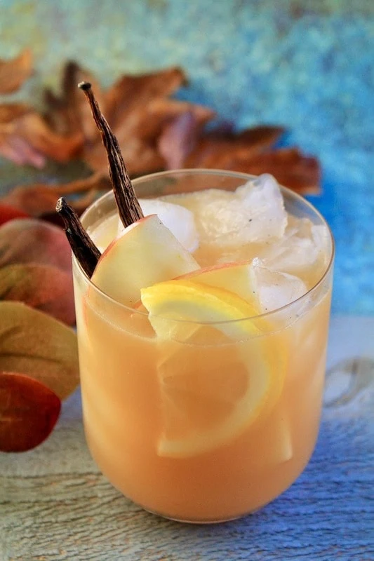 fall-cocktail-bourbon-apple-cider-cocbktail