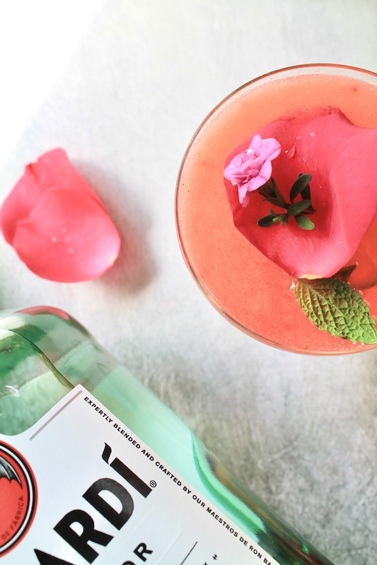 bacardi rum recipe