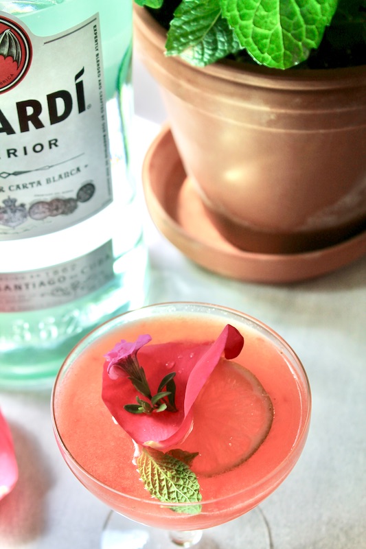 bacardi rum recipe