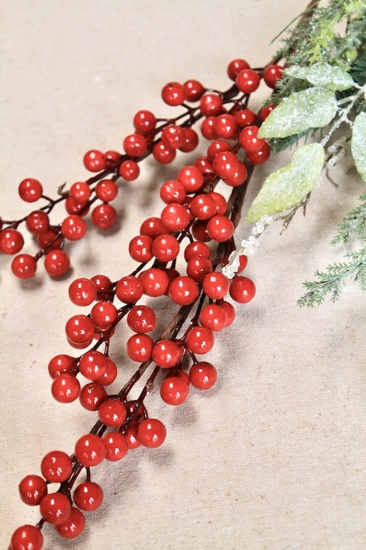 red winterberries