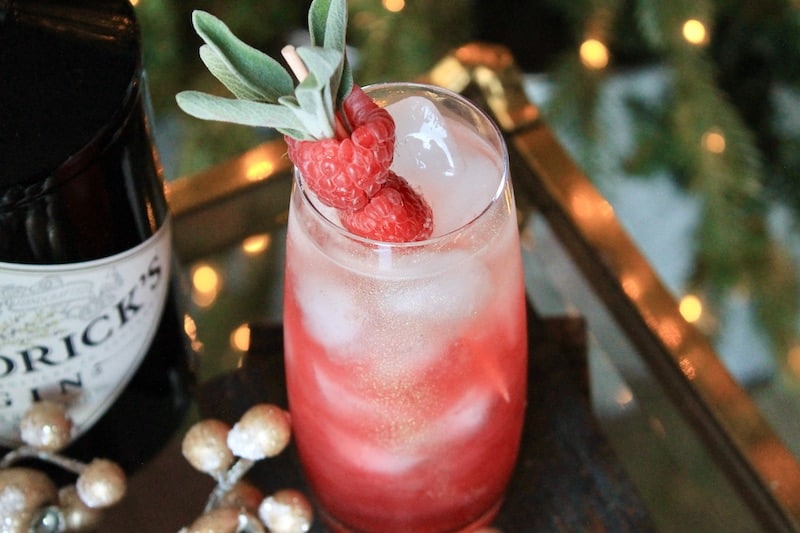 simple raspberry champagne thanksgiving cocktail with gin