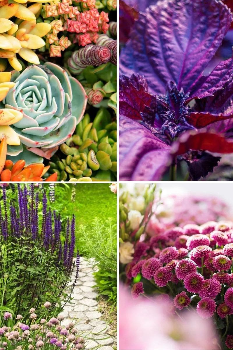 creative gardening ideas