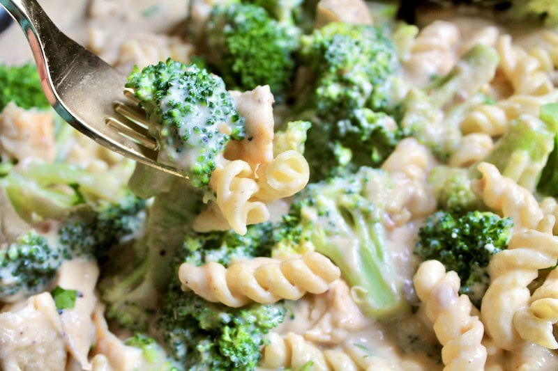 creamy pasta with chicken and broccoli