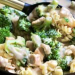 easy creamy one pot chicken broccoli pasta