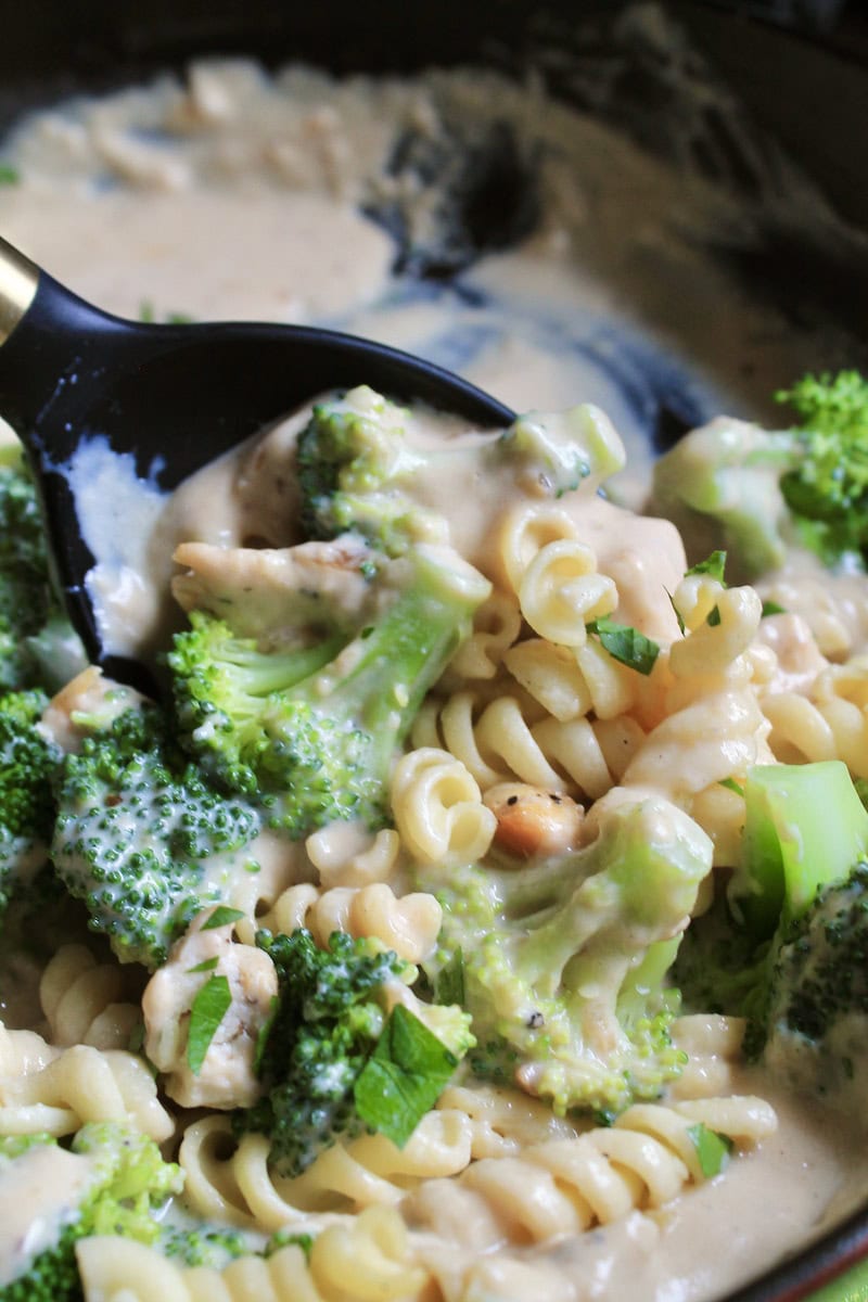 creamy pasta made with cream cheese parmesan garlic and onion