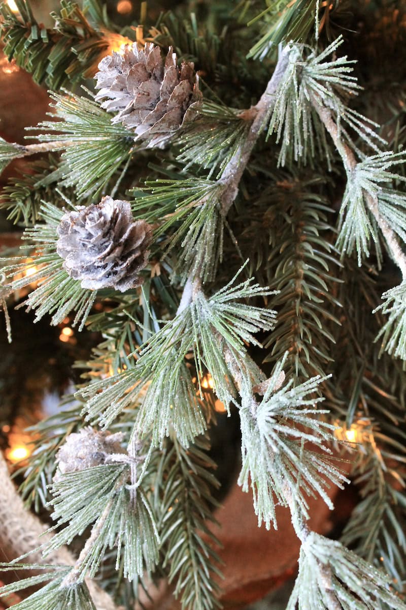 snowy frosted pine cones