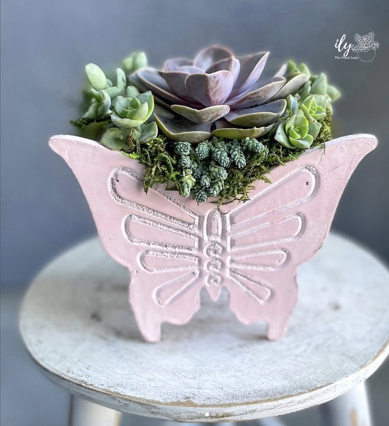 head-planter-plant-ideas