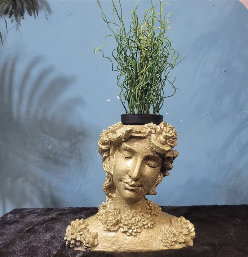 plant for head planters
