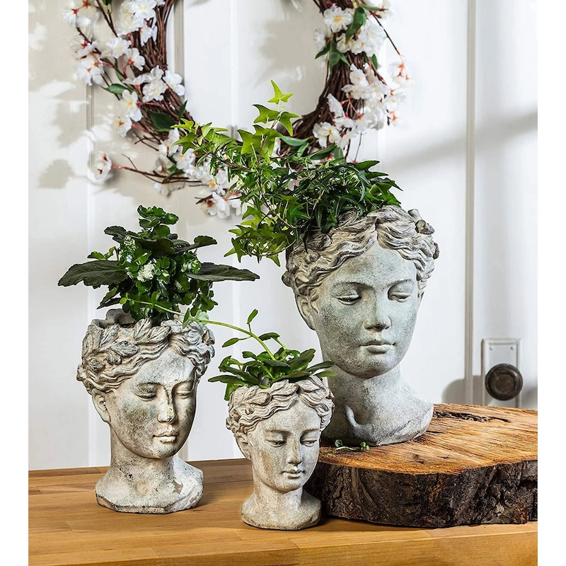 plants for head planters