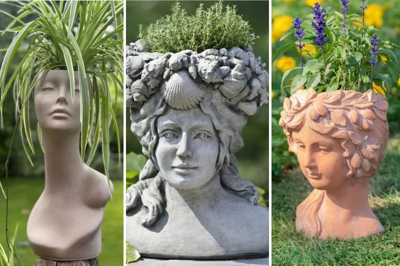 plants for head planters ideas