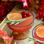 cranberry honeycrisp apple thanksgiving bourbon cocktail