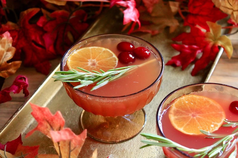 cranberry honeycrisp apple thanksgiving bourbon cocktail