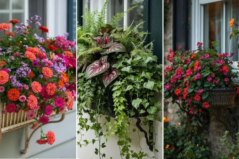 window box planter ideas for summer