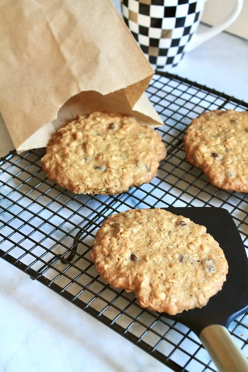 oatmeal chocolate chip cookies recipe
